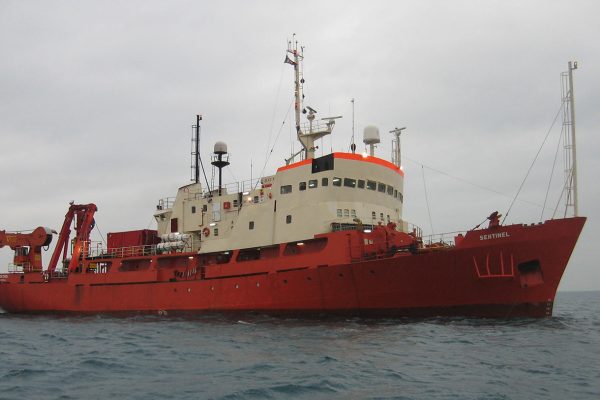 SENTINEL-Offshore Supply Vessel